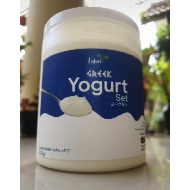 Plain Greek Yogurt 490gr/yoghurt/Quanzhakids