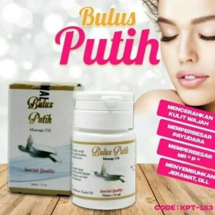 MINYAK BULUS PUTIH PEMBESAR PAYUDARA PENGENCANG PAYUDARA PENGHILANG BEKAS LUKA MINYAK BULUS ORIGINAL