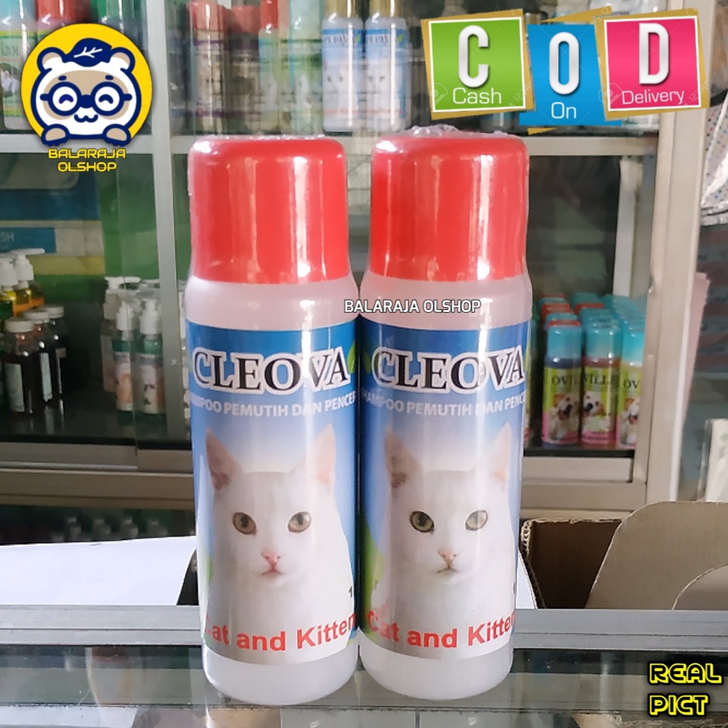 SAMPO KUCING KHUSUS BULU PUTIH WHITE SOLID SHAMPO CLEOVA