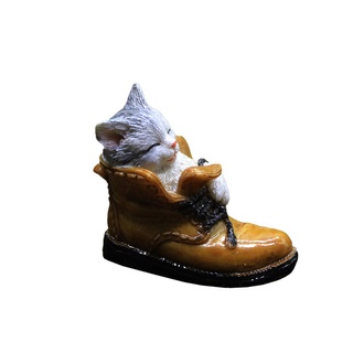 cat boot cleaner