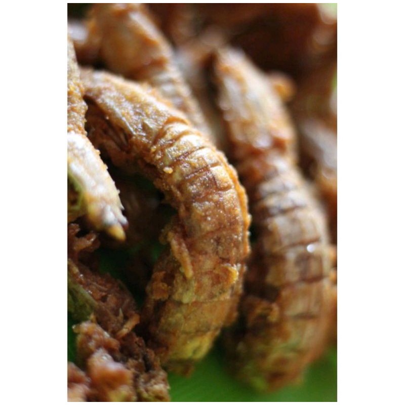 

udang ronggeng 100g sampai 1kg , udang kucing , udang ronggeng crispy , udang kucing crispy, babycrab crispy , babycrab tanpa supit , camilan , camilan babycrab , camilan seafood , snack seafood , camilan lezat , snack lezat , babycrab