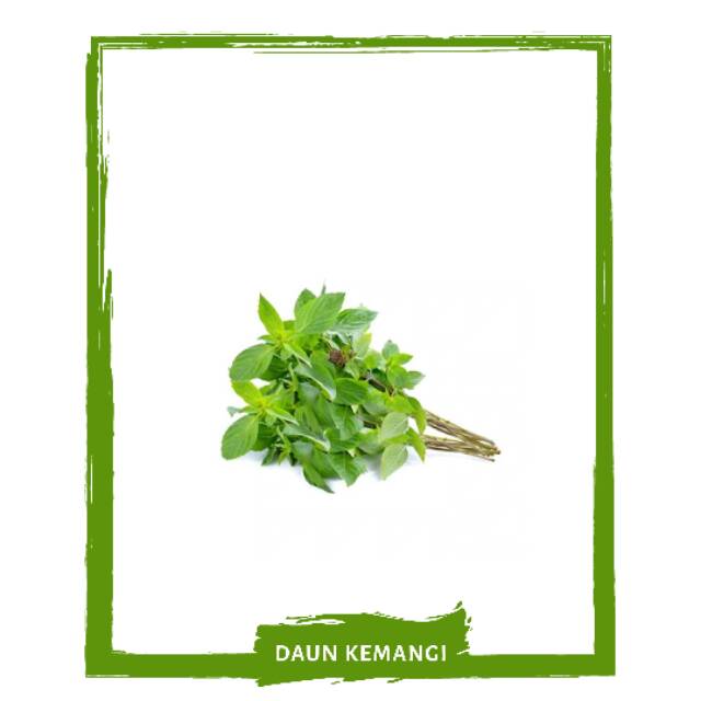 

Daun Kemangi / Sayur Sayuran Segar By Mallahrizwa