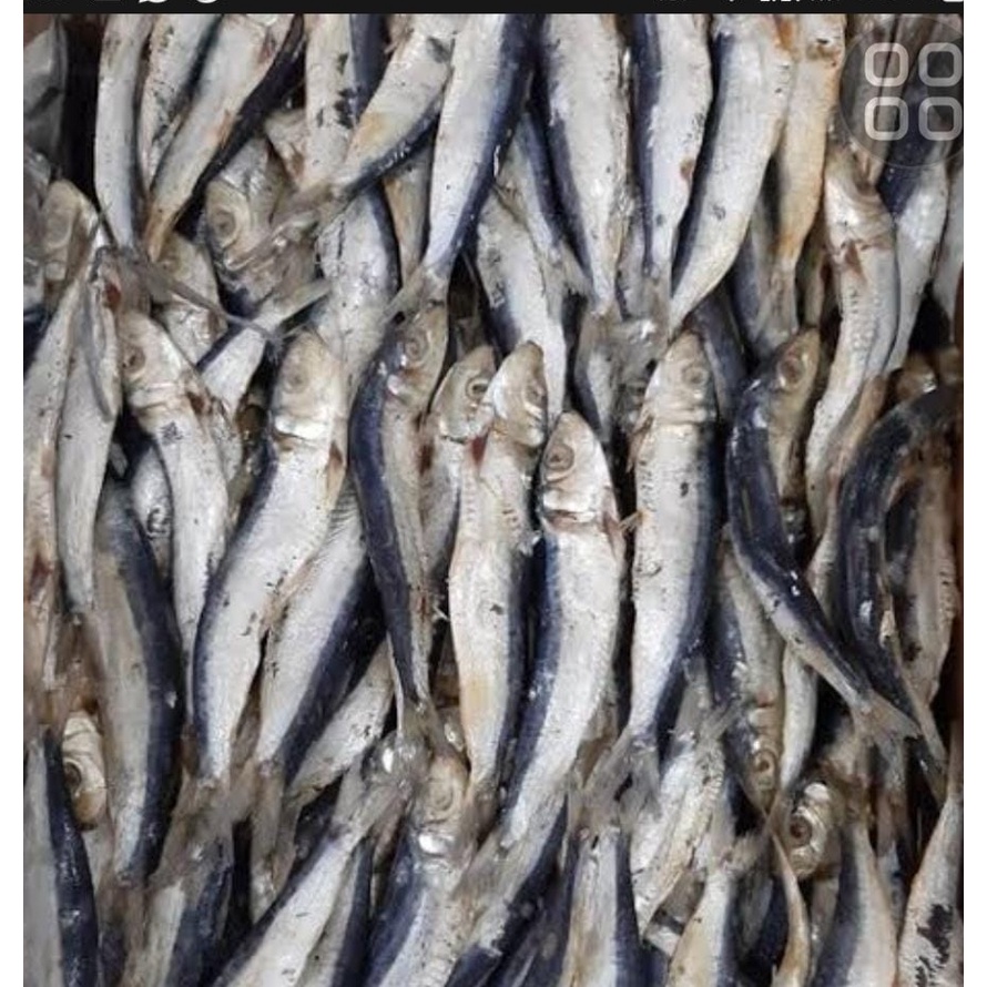 

Ikan Asin Japuh Blitung