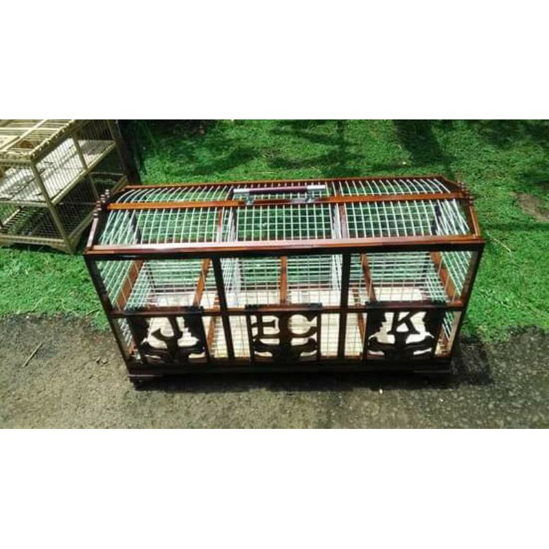 dondang merpati 6 pintu