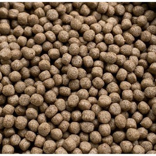 100gr LEJI High CALCIUM Feed NOMOY LG-01 Turtle Food Floating Small 1mm