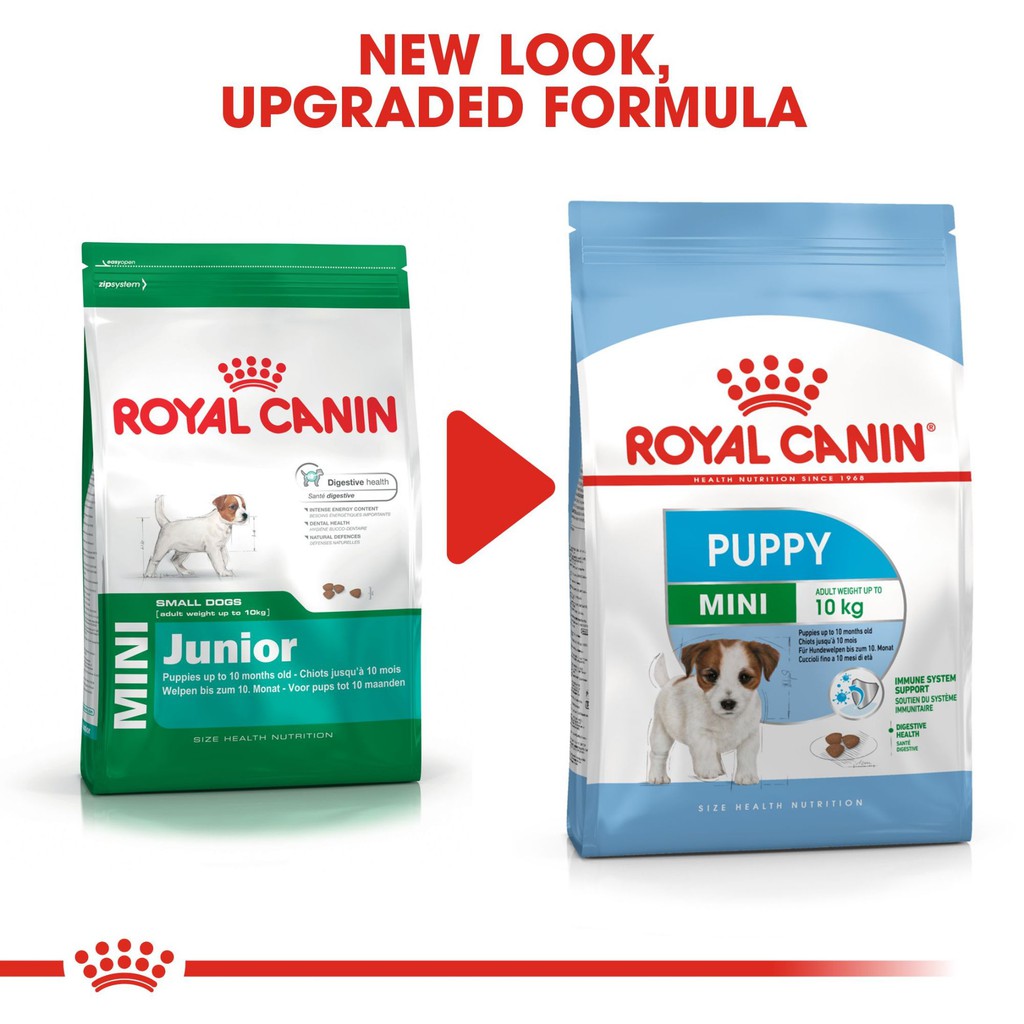 Royal Canin Mini Junior 4kg Dogfood