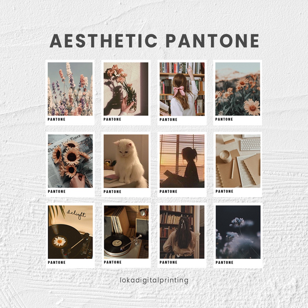

Sticker Aesthetic Journal Scrapbook Pantone 1 PCS