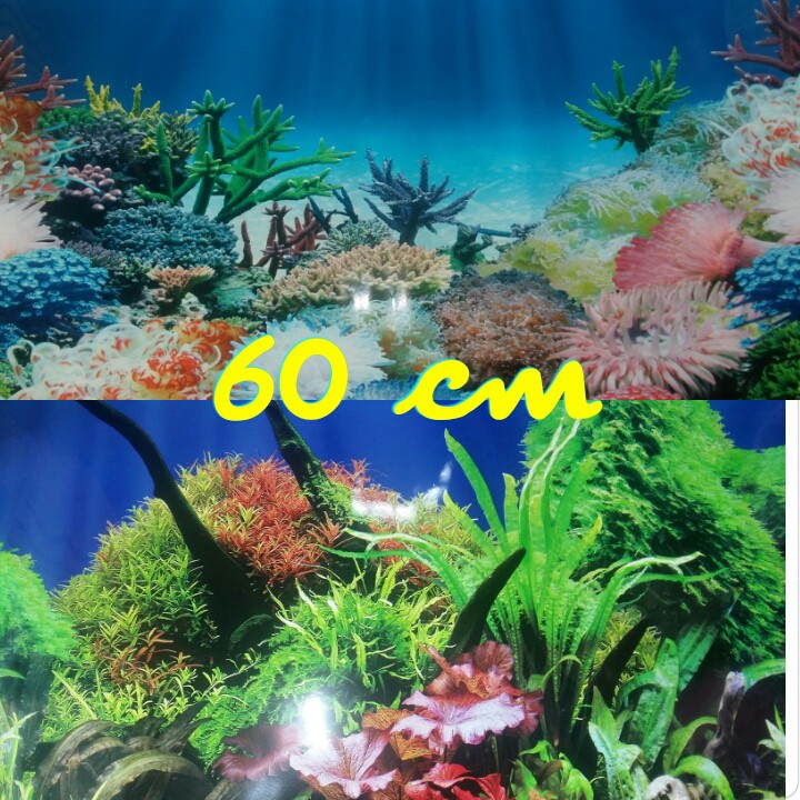 Background / Gambar Latar Aquarium Tinggi 60 cm dan per 10 cm