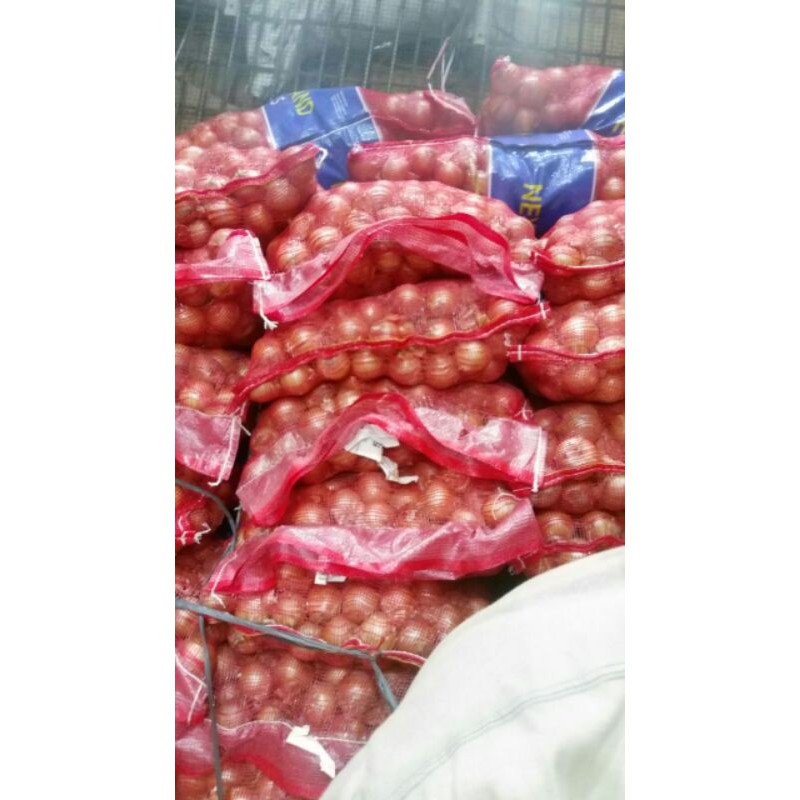 bawang bombay kecil 1 kg