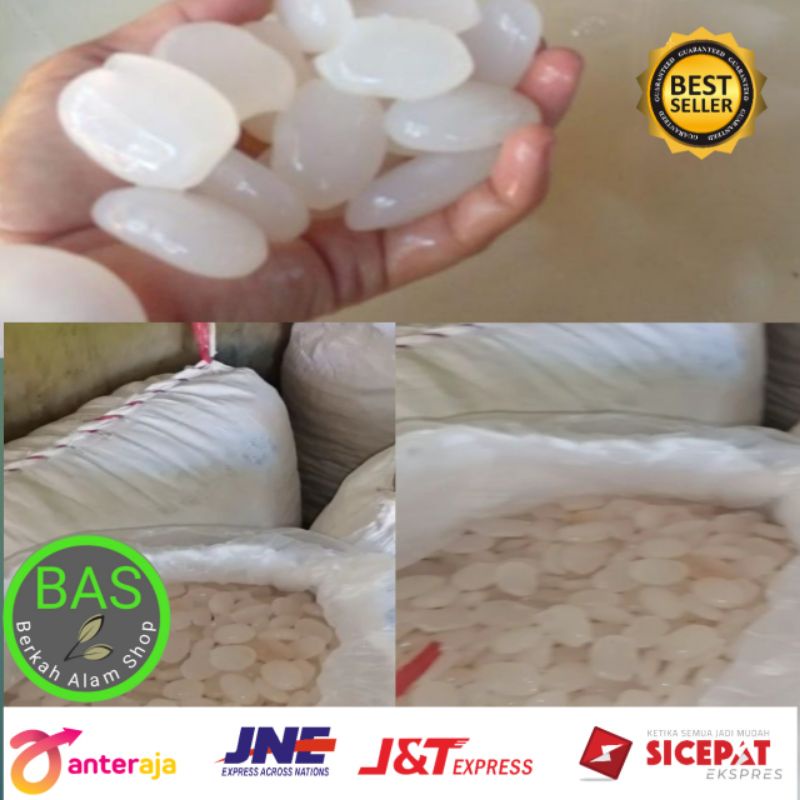 

Kolang Kaling Segar 1/Kg Termurah Segar Kualitas Super
