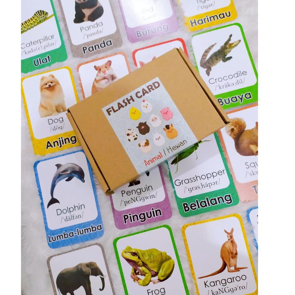Grosir. FLASH CARD KARTU PINTAR BELAJAR ANAK GAMBAR ASLI UKURAN BESAR 2 BAHASA- HIJAIYAH/HEWAN/BUAH-