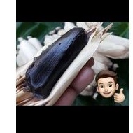

Dodol