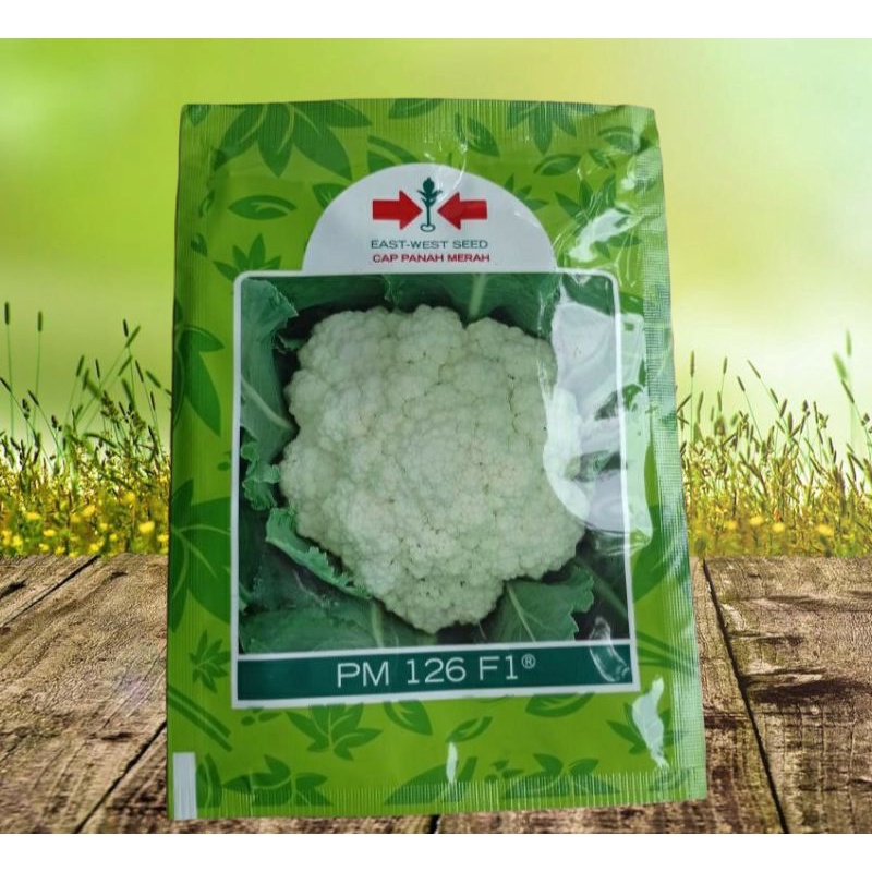 Benih bunga kol / kembang kol PM 126 F1 panah merah 10 gram