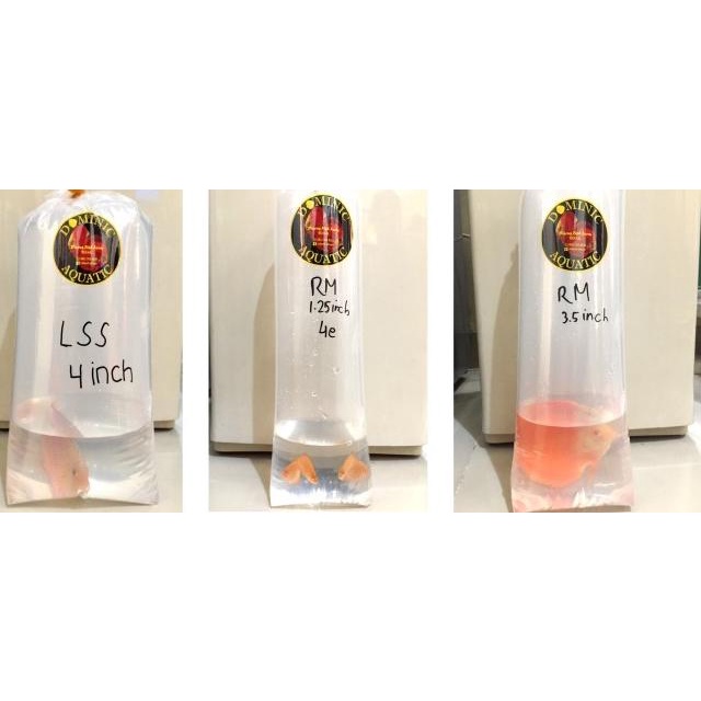 ❆ PLASTIK PACKING BUNGKUS IKAN DISCUS KOI LOUHAN TEBAL 0.8MM 1/2 KG - 15 cm x 55 cm ✦