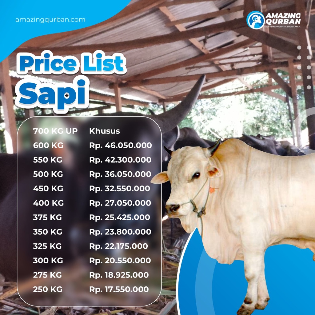 Apakah Harga Daging Sapi Bulan Kemaren Mengalami Perubahan – CGKWYM