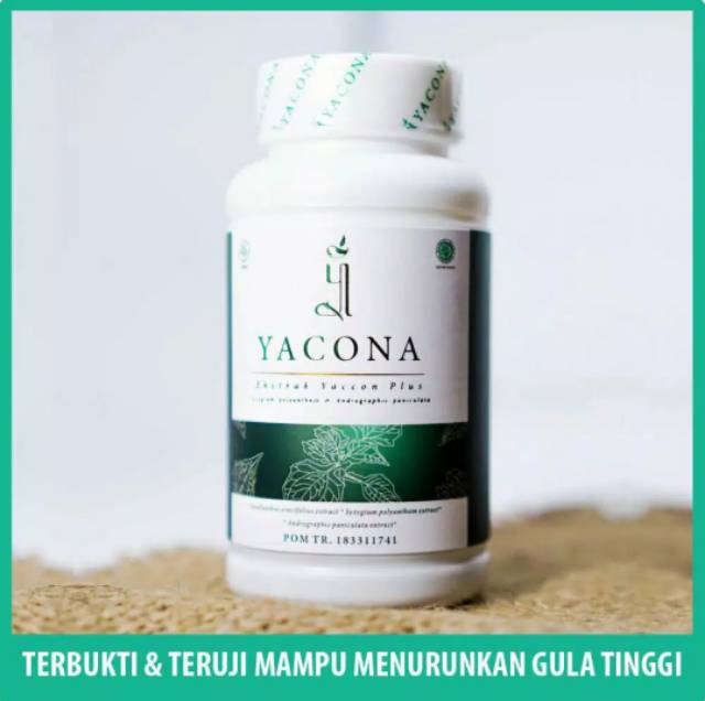 YACONA OBAT DIABETES ALAMI