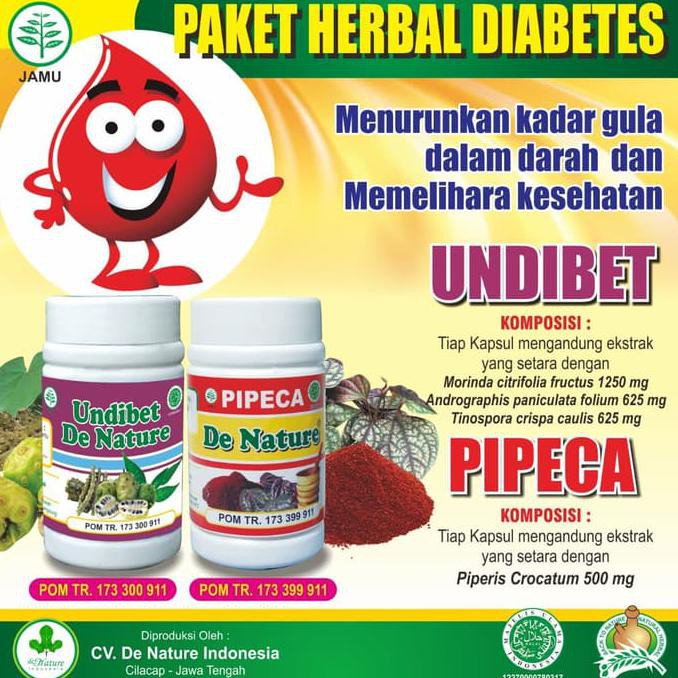 

Obat Diabetes Penyakit Gula Herbal De Nature Undiabets dan Pipeca TERBARU