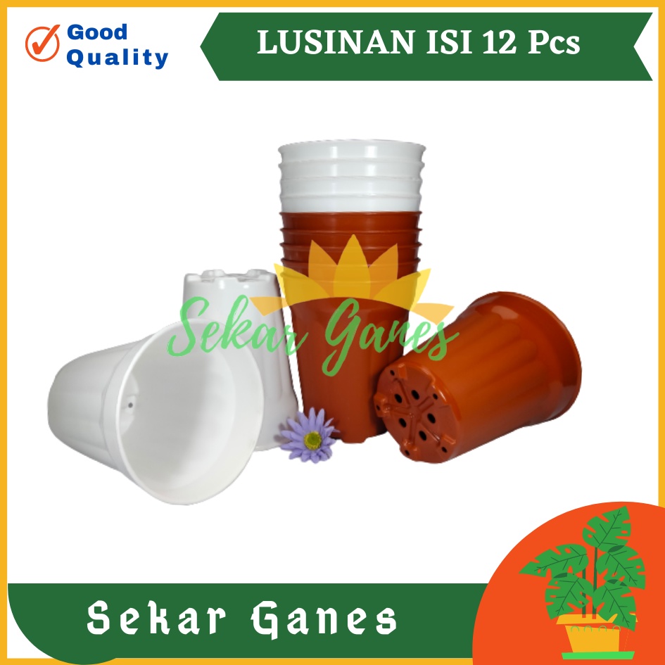 Sekarganes LUSINAN Pot Tinggi Ceo 15 Putih Coklat Merah Bata - Mirip Pot Yogap 15 Murah Pot Tinggi Putih Plastik Besar