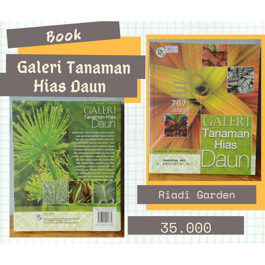 Obral Buku Aglonema Teknik Baru Peluang Baru Trubus