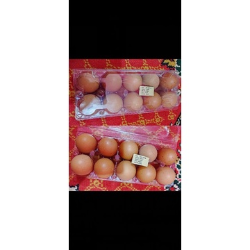 

Telur Ayam Fresh
