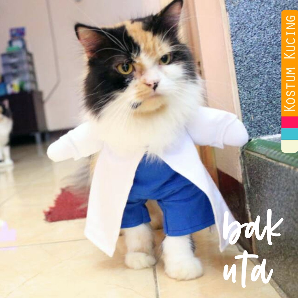 Kostum dokter lucu untuk kucing &amp; anjing /Jual Baju Kucing Terlengkap &amp; Berkualitas size S-XL