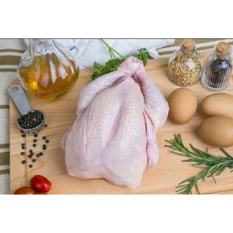 

Ayam Potong