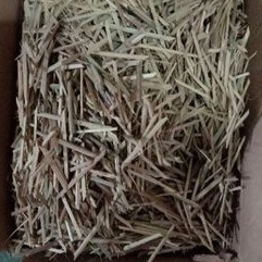 BITING TEMPE 1kg
