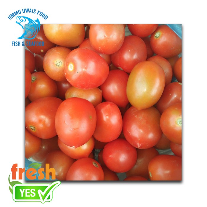 

Tomat Segar - 500 Gram