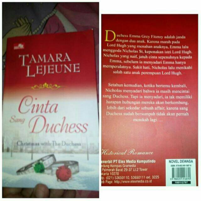 NOVEL BEKAS HISTORICAL ROMANCE