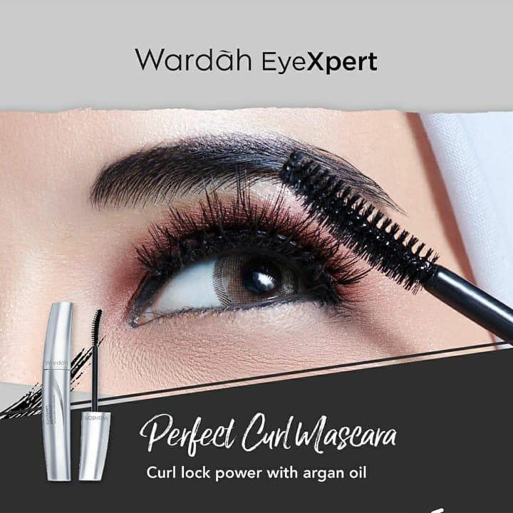 Wardah EyeXpert Series - Aqua Lash/Volume Expert/Perfectcurl/Staylast/Optimum Hi Black/Remover