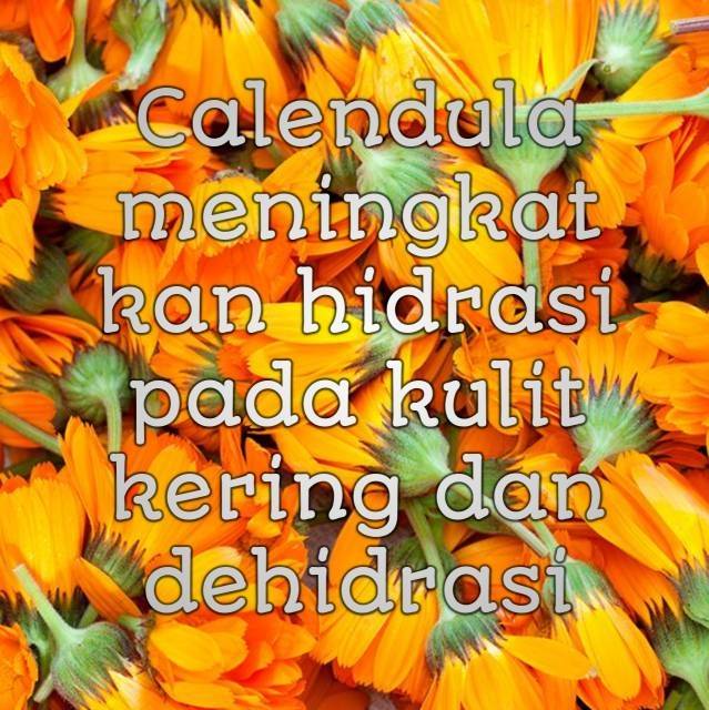 CALENDULA FACE MIST Perawatan Wajah Glowing Jerawat Flek Hitam Skincare Korea Serum Paket Kecantikan