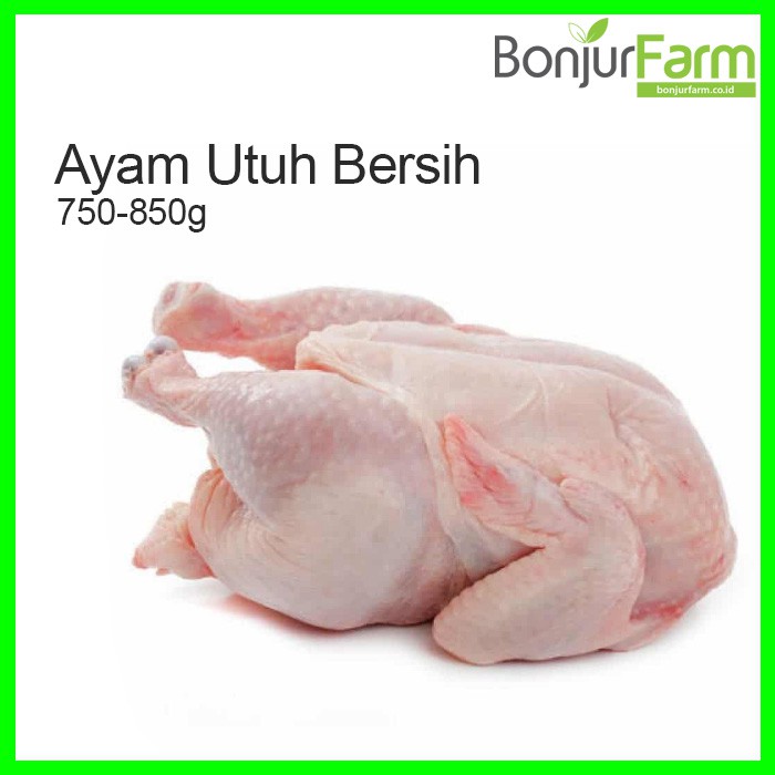 

Ayam potong, Ayam utuh bersih