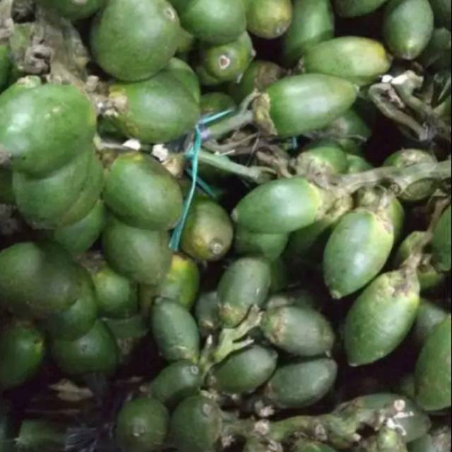 

Buah Pinang Segar/Petik langsung dari pohom