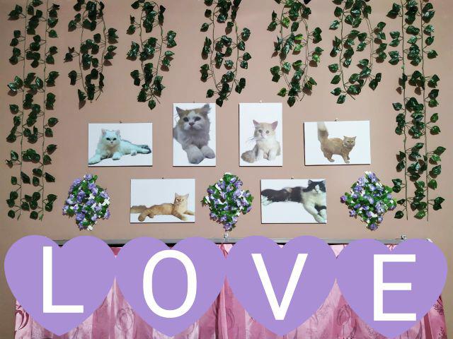 Khusus Pesanan Custom Ukuran 20x30cm