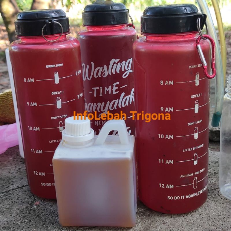 

Madu kelulut Itama Asli Kalimantan