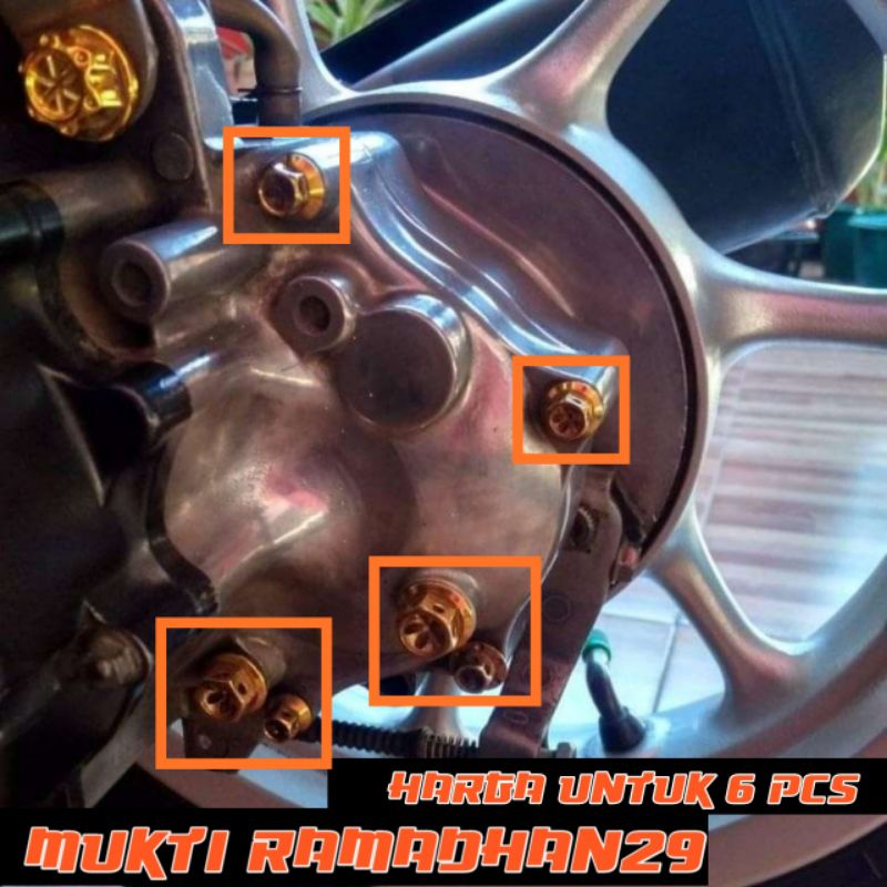 Baut Probolt Flowers Krengkes Kerengkes Karengkes Gardan Honda Beat Vario 110 Scoopy fi