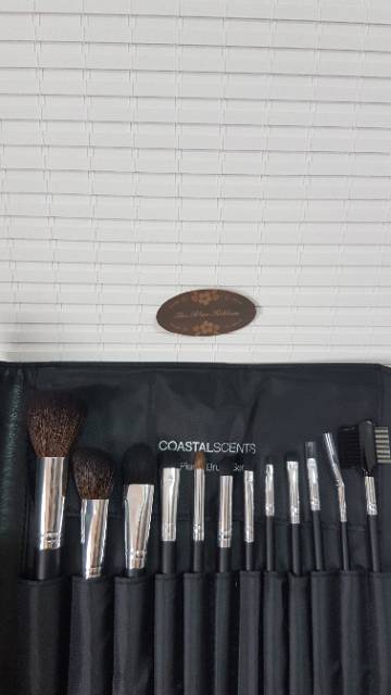 COASTAL SCENTS 12 PIECE BRUSH SET