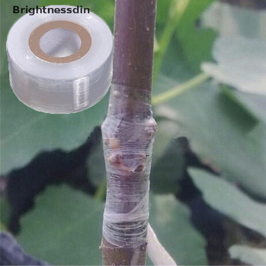 1 Roll Tape Grafting Untuk Pohon Buah