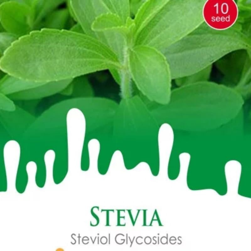 STEVIA HERBS // benih