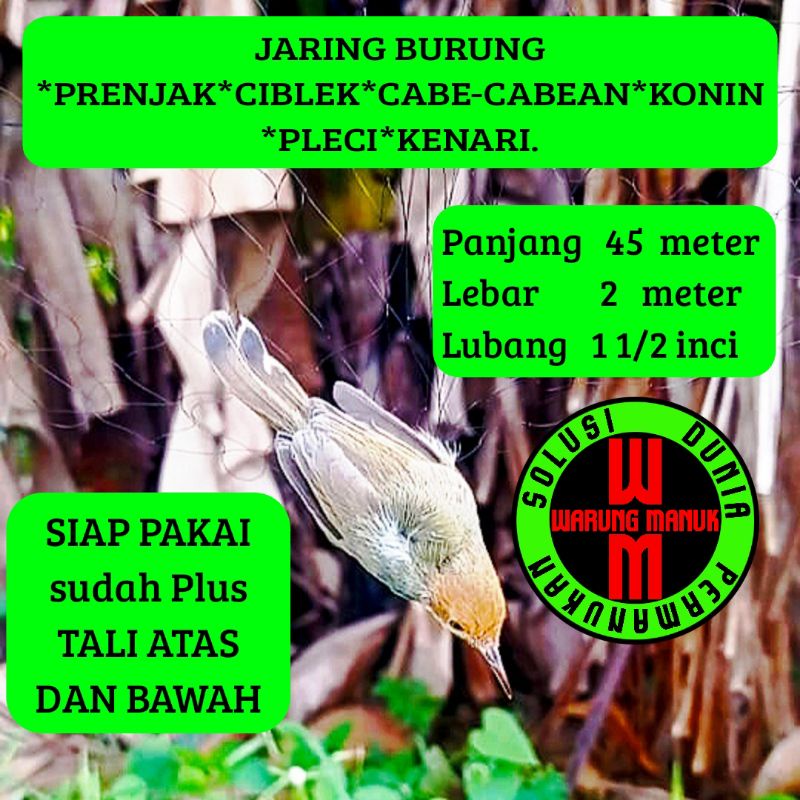 Jaring burung prenjak 50 meter siap pakai warna hitam lubang 1 jari tinggal pasang
