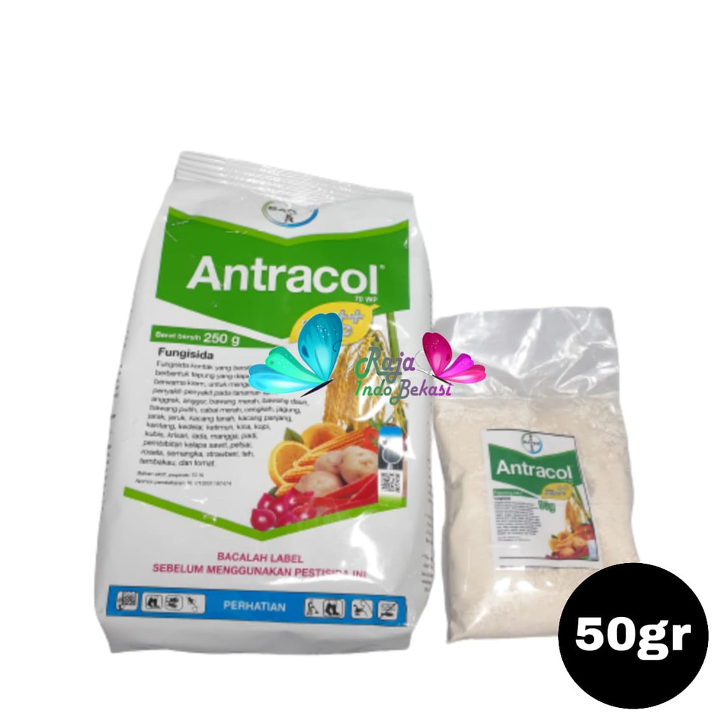 Antracol Fungisida Repacking 50 Gram - Fungisida Antracol Anti Jamur Repack 50gram
