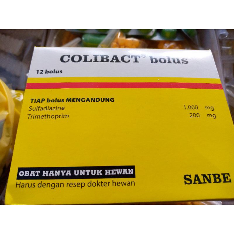sanbe COLIBACT bolus ( obat mencret hewan ternak )