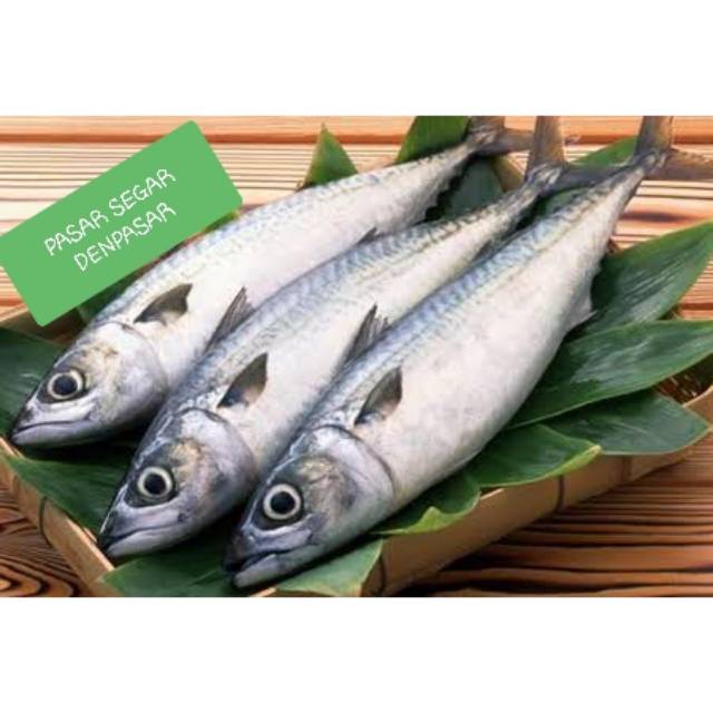 

IKAN TONGKOL SEGAR/500Gr