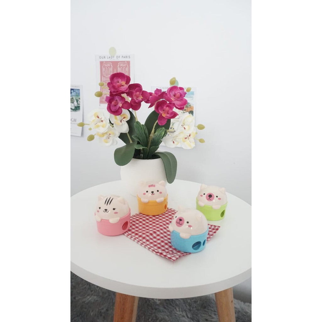 

SERUTAN BERUANG BEAR RAUTAN PERUNCING ALAT TULIS KANTOR SEKOLAH ANAK LUCU UNIK WARNA WARNI MURAH