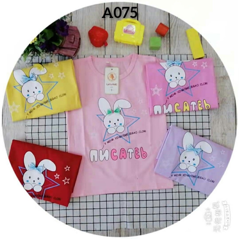 PAKET 1 LUSIN KAOS ANAK PEREMPUAN 1-5 TAHUN/KAOS ANAK PEREMPUAN IMPORT ADEM TEBALL#COD BAYAR DI TEMPAT