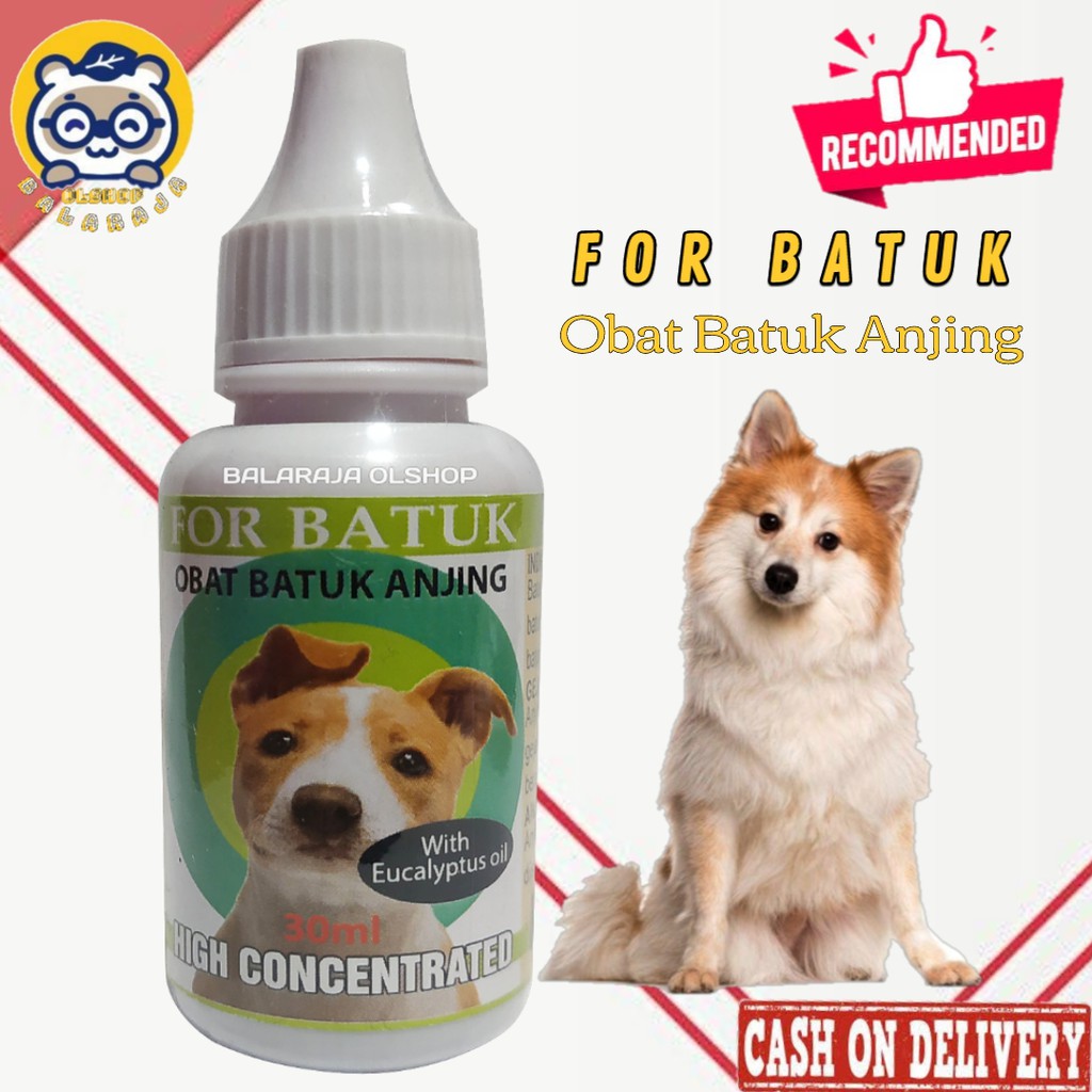 Obat Batuk Anjing Puppy Pilek Sesak Nafas - For Batuk Dog 30ML