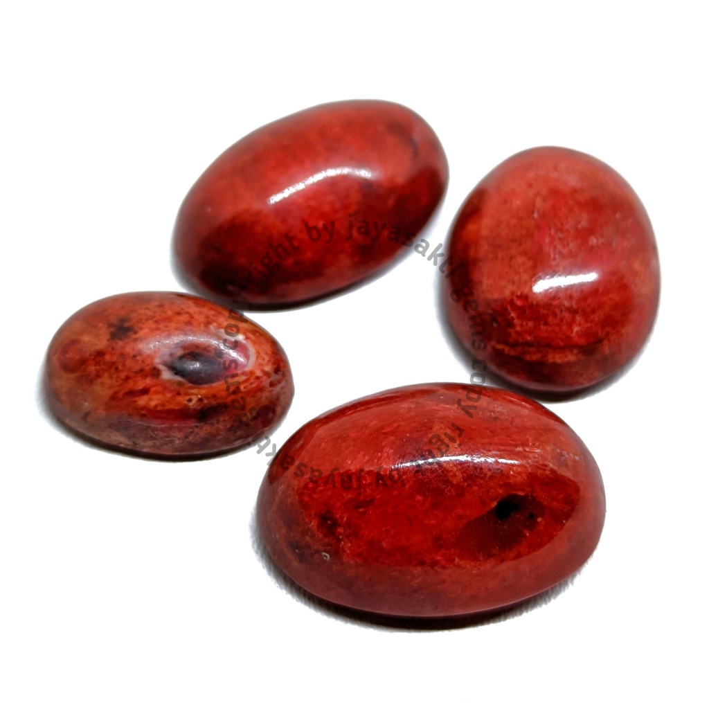 Natural Batu Akik Red Coral Marjan