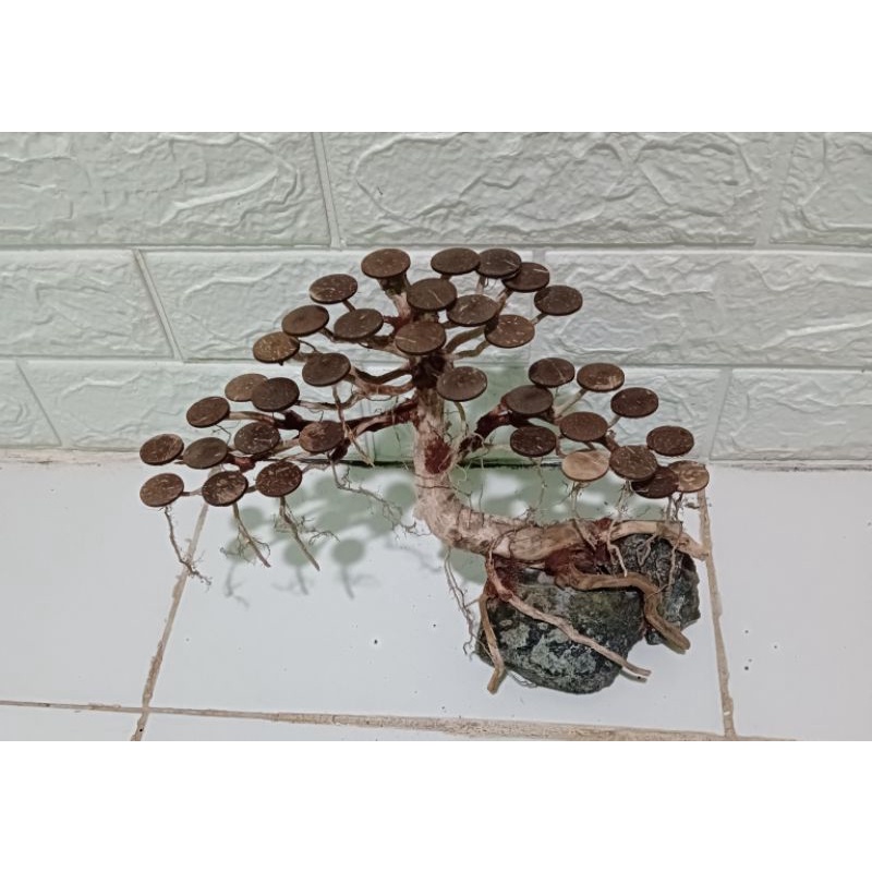 pohon bonsai aquascape