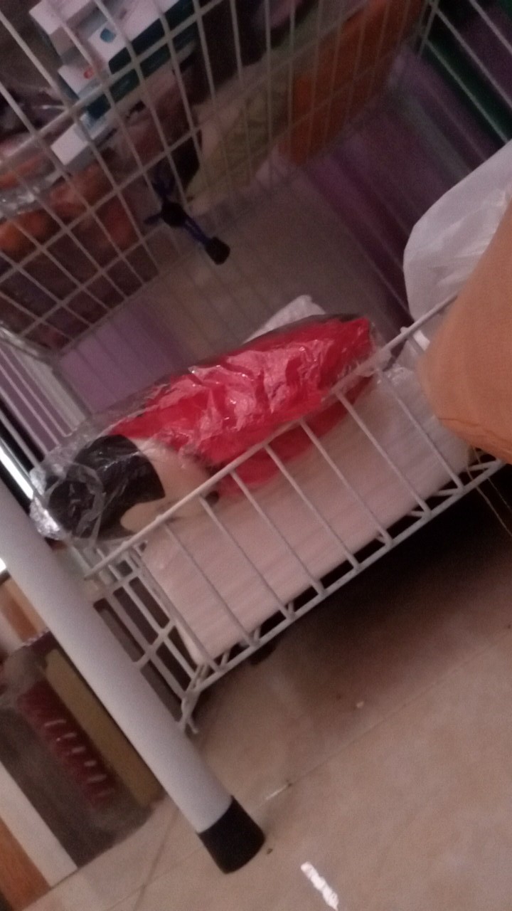 Pengaman Pengunci Pintu/kulkas/lemari (safety Lock)