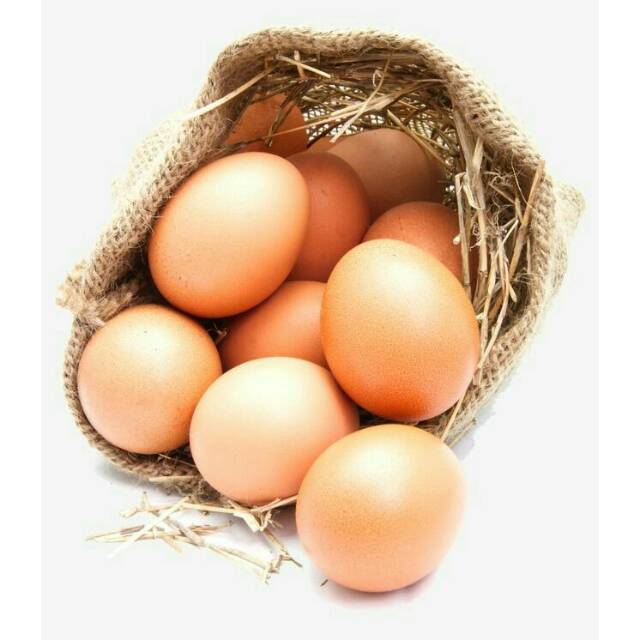 

Telur ayam negri